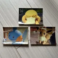 ポケモンコンシェルジュ ステッカー