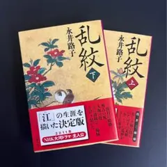 【文庫本】乱紋 （上下巻セット）／永井路子