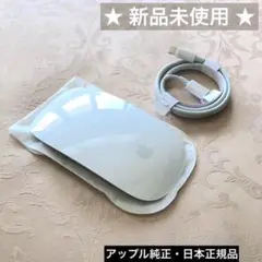 新品未使用 APPLE MAGIC MOUSE 2 アップル純正 マジックマウス