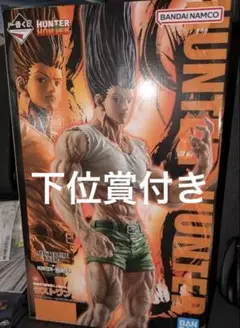 HUNTER×HUNTER 一番くじ　ラストワン　ゴンさん 下位賞セット