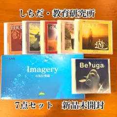 【新品未開封　送料無料】しちだ・教育研究所7点セット　右脳記憶編1枚　他6点