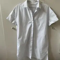 ZARA Trafuluc collection 半袖ストライプシャツ