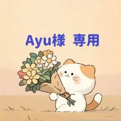 Ayu様 専用(9/7迄)