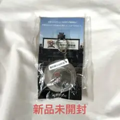 甲子園の土　キーホルダー　新品未開封　95周年記念
