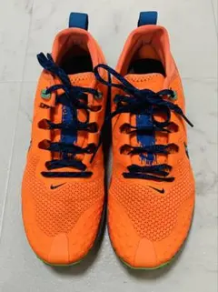 美品NIKE TRAIL WILD HORSE トレイルランニング26cm