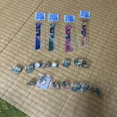 日本ハムファイターズピンズ