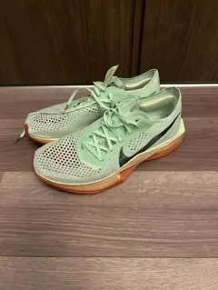 Item thumbnail for item 8e298990-2281-4abb-871e-d52ab2722cf2