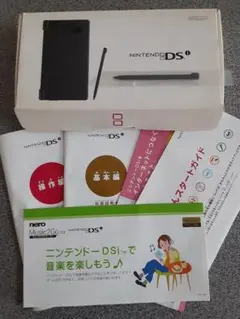 Nintendo DSi タッチペンと説明書セット　　本体なし！