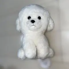 ★新品未使用タグ付き⭐︎ さみしがりやのビジョンフリーゼ おっきめ おすわり