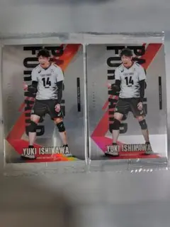 Item thumbnail for item 1cd69cb2-e767-46ba-be47-be11cd00835e