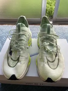 Nike アルファフライネクスト2 30cm