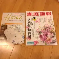 【最新号】家庭画報 2025年 9月号