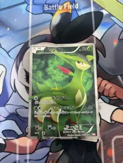 ビリジオン SR BW2 レッドコレクション 067/066 - メルカリ