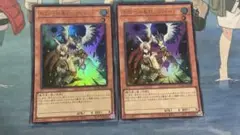ドロール&ロックバード　2枚セット