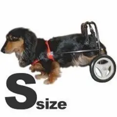 Item thumbnail for item d38de364-d196-4608-bf80-9e90b6580f1d