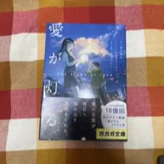 愛が灯る
