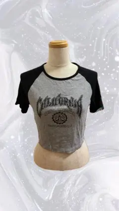 y2k ピチT クロップドTシャツ　平成ギャル