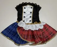 Item thumbnail for item 385cfc20-97c3-423b-a541-be69bcde8686