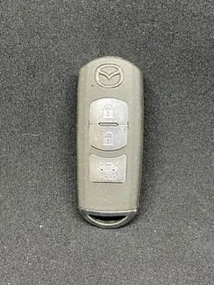 Item thumbnail for item ac6d5159-f9b9-44c6-8629-c4bf92982f34