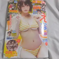 ヤングチャンピオン2025年No.17 　DVDクリアファイル付