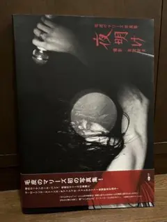 夜明け　毛皮のマリーズ　写真集 CDジャーナルムック 毛皮のマリーズ写真集『夜明け』 撮影:有賀