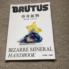 BRUTUS(ブルータス) 2022年6月15日号