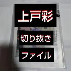 Item thumbnail for item 5d209910-c07d-4de6-a5b1-4da36c82cfe1