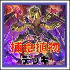 【遊戯王】捕食植物　デッキ