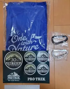 Item thumbnail for item cc0e3d9c-61d4-4a45-b757-7fe778d4ce55