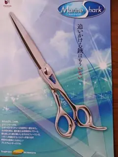 トギノン TOGINONシャークライト Shark light-S 6.5 シャークライト - TOGINON