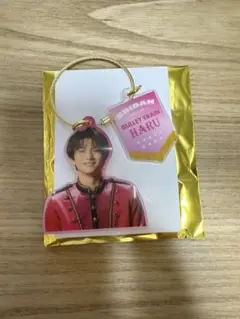 EBiDAN THE LIVE 2025 アクキー ハル