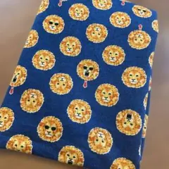 Item thumbnail for item 64aa3265-4dec-4495-92ee-cb69b4faaa6f