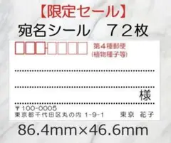 【限定セール】72枚 宛名シール☆シンプル ☆第4種郵便
