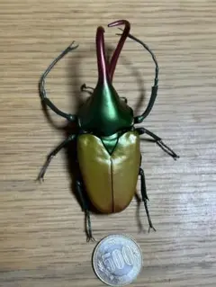 カブトハナムグリフィギュア