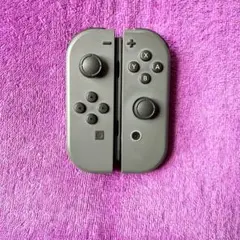 ジョイコン Joy-Con 純正 グレー 左右セット4T8-g【スティック新品】