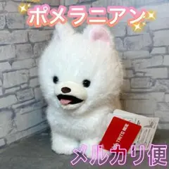光る！ ゲーミングポメラニアン ぬいぐるみ １種