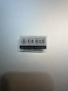 Item thumbnail for item 449bedf8-3617-47ff-a317-004ee01a0f13