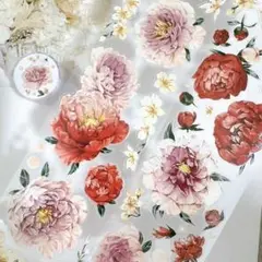 【wt115】WT / Peony Reverie pet 1ループ 100cm