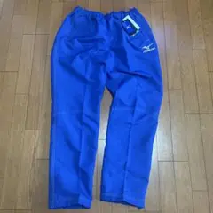 Item thumbnail for item 94344520-885b-4301-aead-992ee81f19c6