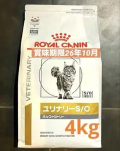 Item thumbnail for item 1f7abf0d-a7b8-4eb8-9f91-0b3878068c03