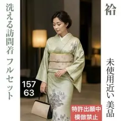 裏葉柳色 洗える着物 訪問着 フルセット 未使用近い美品 a57