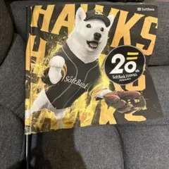 SoftBank HAWKS 20th Anniversary Flag