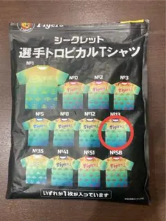 阪神タイガース　岩崎優選手　シークレットトロピカルTシャツ