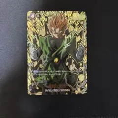 孫悟飯　sr