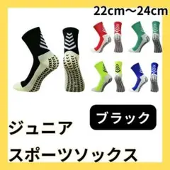 Item thumbnail for item 604e4475-c107-41e1-a630-9c3d106fd2f5