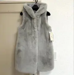 Item thumbnail for item c4ac18a7-21bc-4432-8747-d26778746d16