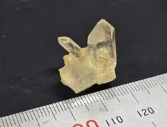 Item thumbnail for item 4733ccf7-1dd4-4ff5-8771-f39c954e7144