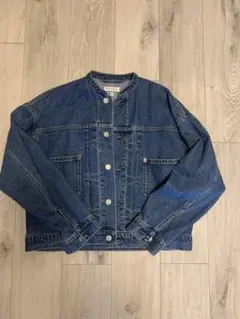 美品 ドレステリア ジャケット ジージャン Ｇデニム