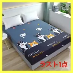 ★ラスト1点★ ベットシーツ　犬柄　可愛い　ブルー　軽量　新品