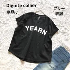 【ディニテコリエ】半袖Tシャツ 良品 綿100% ロゴ 大人綺麗 春夏秋